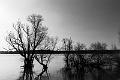 2022_03_26 (0021)